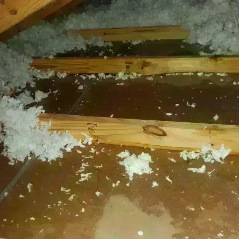 Attic Water Damage in Pearsall, TX